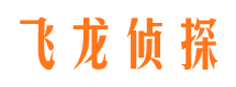 汤阴侦探